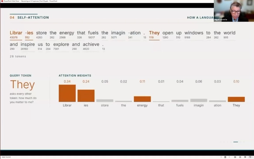 A sentence about libraries split into 26 numbered tokens, with a bar chart showing how much attention the word "They" gives to each other token
