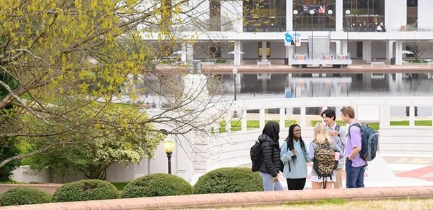 The Clemson committee was fortunate to receive a strategic diversity plan framework from Clemson University's Assistant Vice President for Strategic Diversity Initiatives. However, transforming the Libraries’ work into this structure wasn't always straightforward.