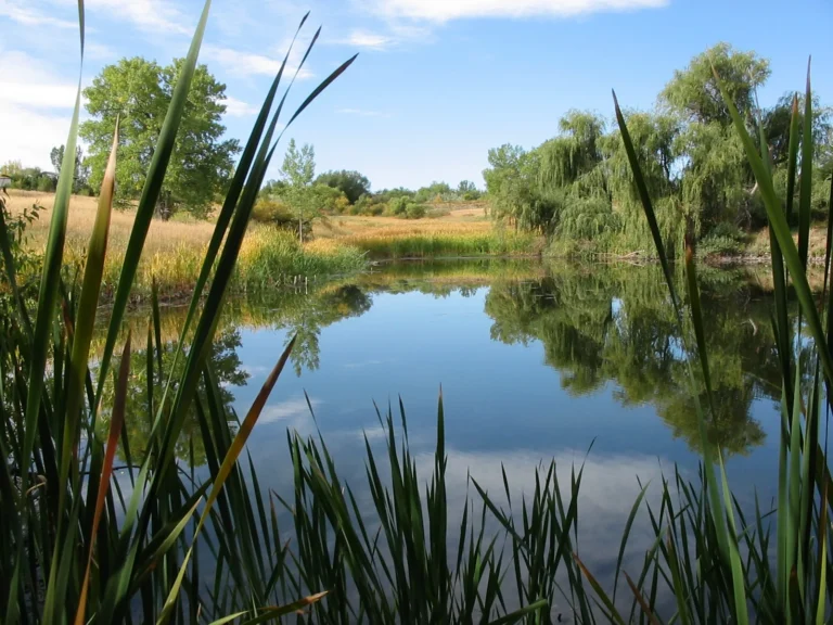Wetlands and reflective pond at Two Ponds National Wildlife Refuge near Jefferson County, Colorado