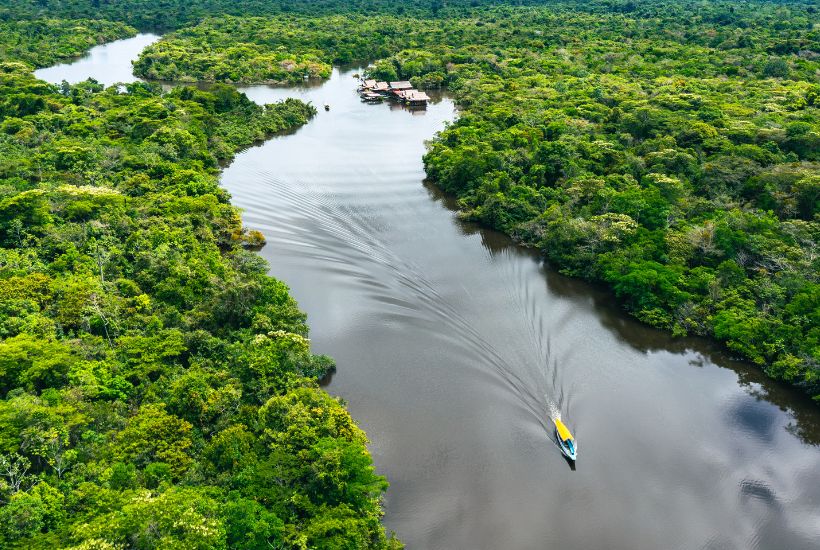 UEA Parintins Library Amazon Rainforest | Homepage