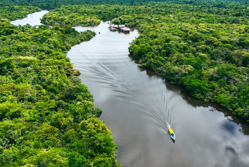 Homepage 6 UEA Parintins Library Amazon Rainforest | Homepage